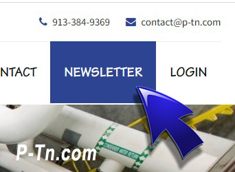 screenshot of homepage website with cursor pointing to newsletter in the navigation bar | P-Tn